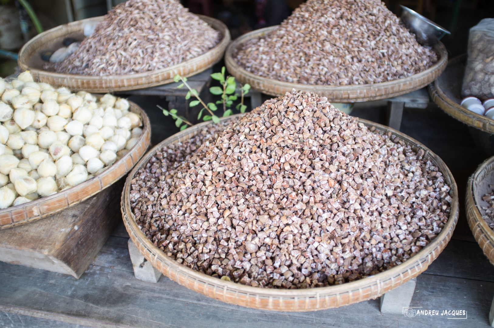 birmanie-142 (Grand).jpg